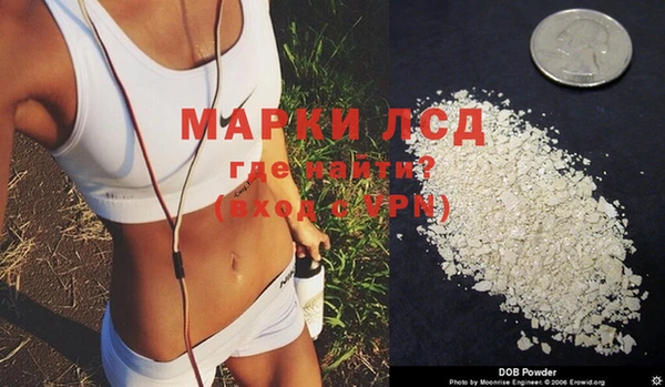 стафф Баксан