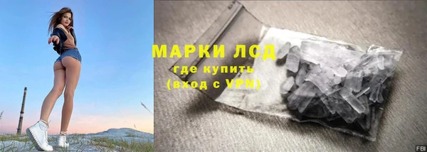 стафф Арсеньев