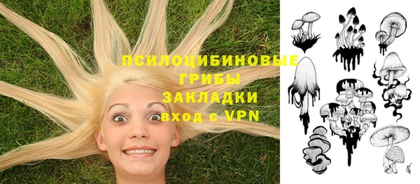 стафф Баксан