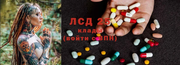 прущие крисы Аркадак