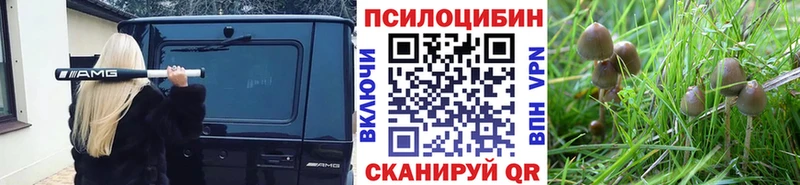 Галлюциногенные грибы GOLDEN TEACHER Серов